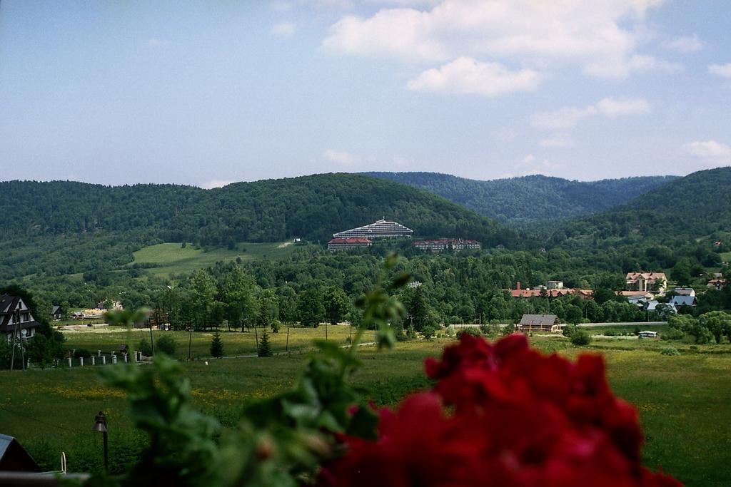 Willa Anna Maria Wysowa-Zdrój Exterior foto